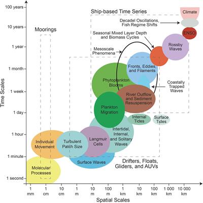 Navigating the current landscape of ocean observations: an overview from platform infrastructures to networks related to ocean time series